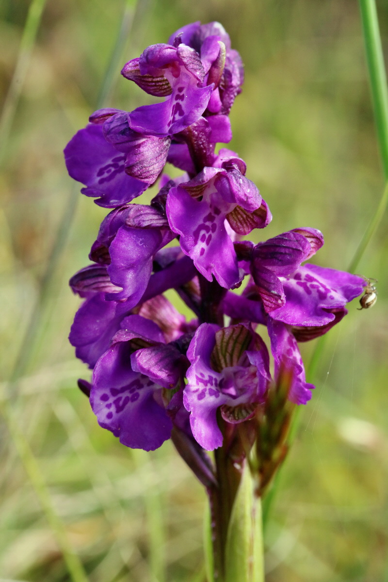 RNA_2017_05_03_1606p_Bildgr��e �ndern