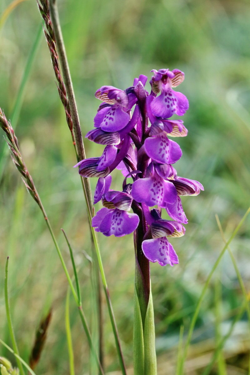 RNA_2017_05_03_1608p_Bildgr��e �ndern