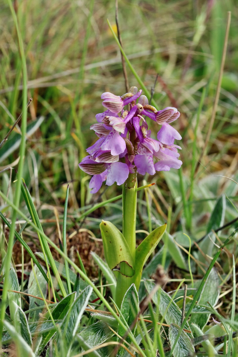 RNA_2017_05_03_1613p_Bildgr��e �ndern