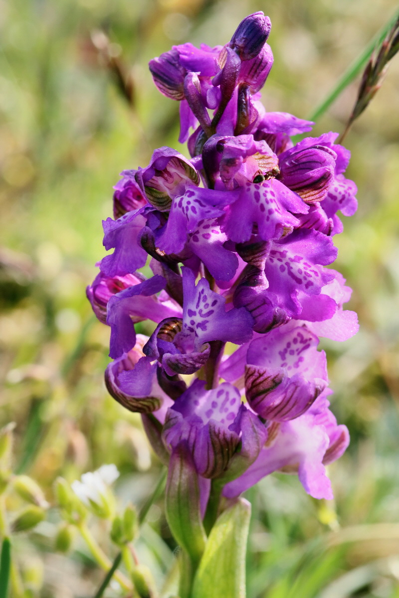 RNA_2017_05_03_1692p_Bildgr��e �ndern