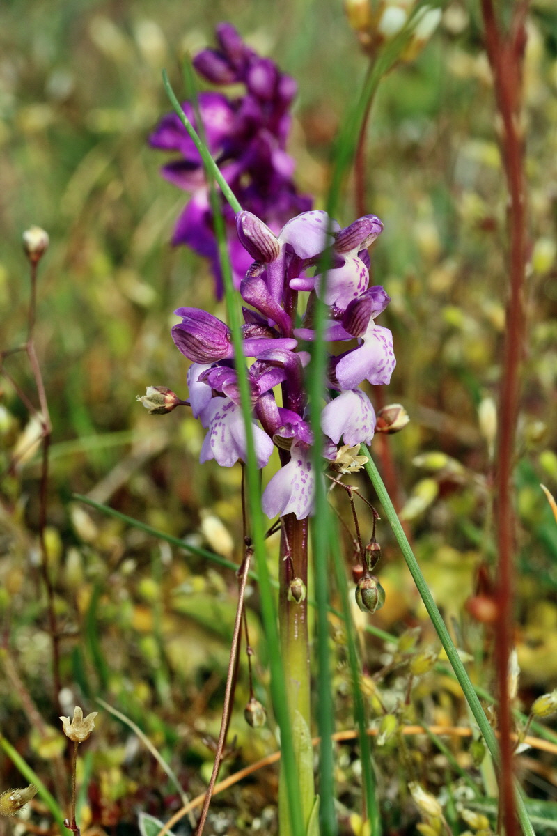 RNA_2017_05_03_1741p_Bildgr��e �ndern