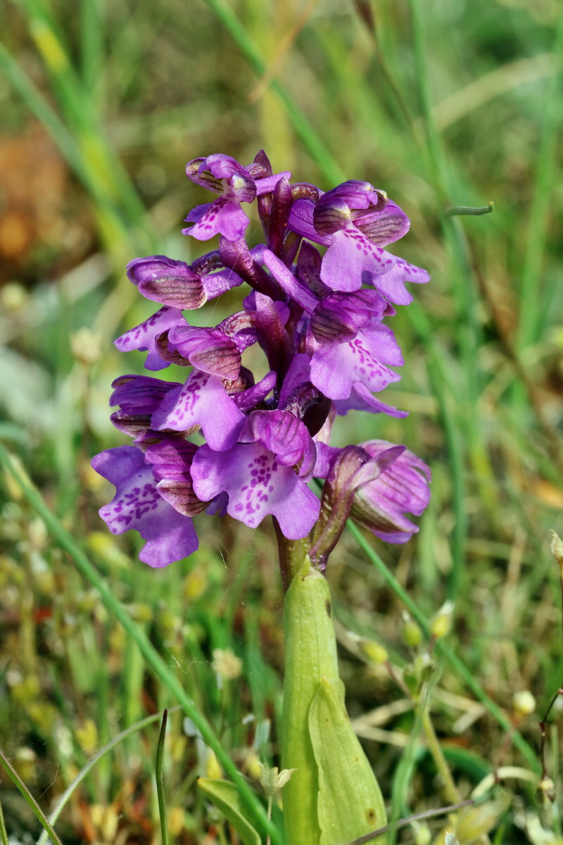 RNA_2017_05_03_1743p_Bildgr��e �ndern