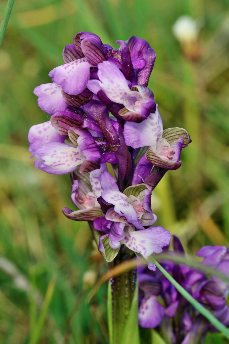 RNA_2017_05_03_1763p_Bildgr��e �ndern