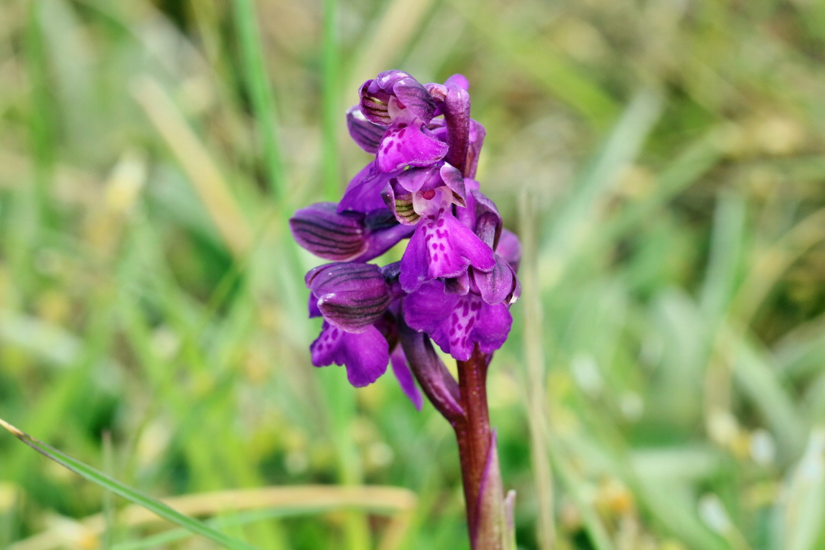 RNA_2017_05_03_1833p_Bildgr��e �ndern