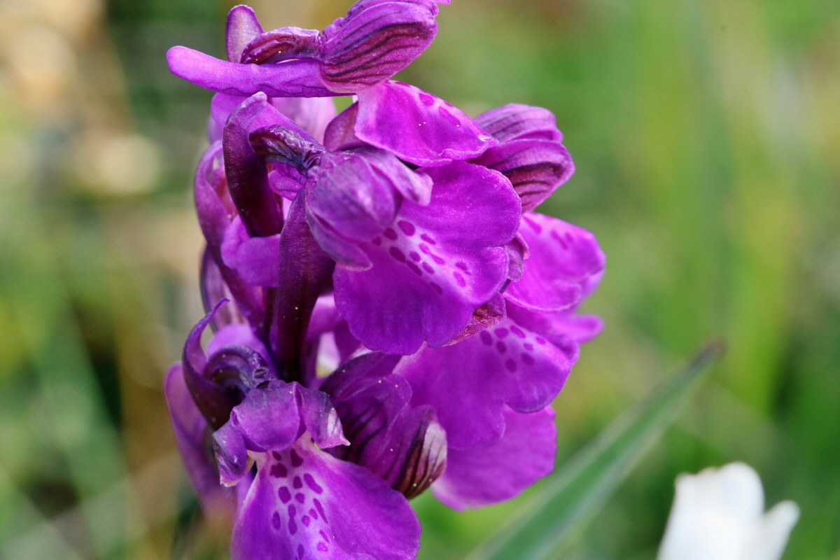 RNA_2017_05_03_1844p_Bildgr��e �ndern