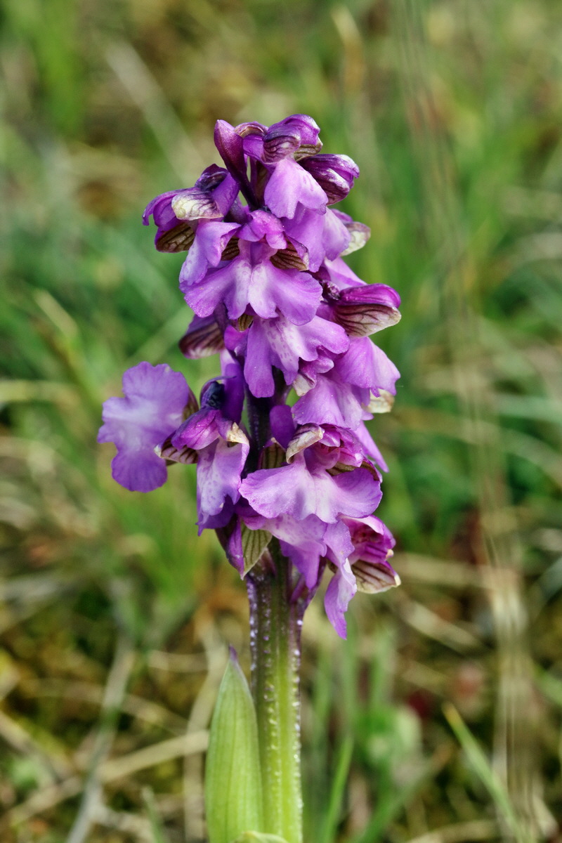 RNA_2017_05_03_1850p_Bildgr��e �ndern