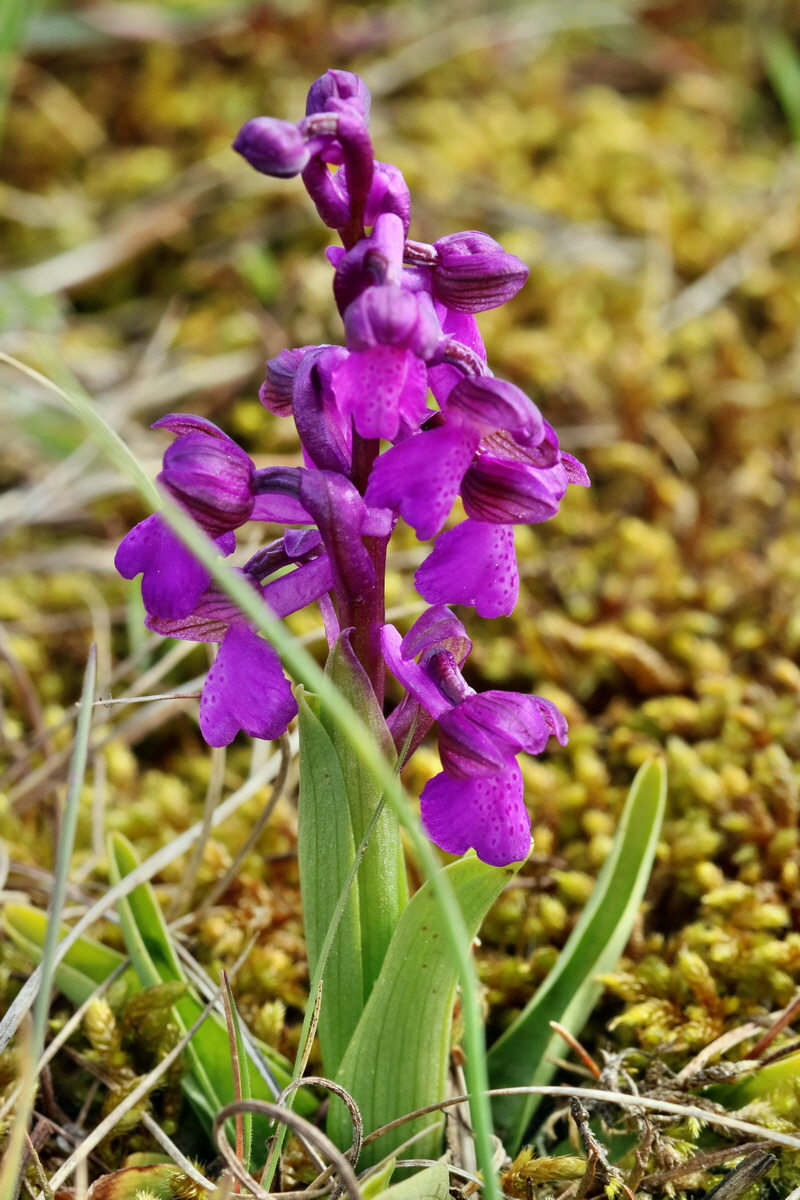 RNA_2017_05_03_1853p_Bildgr��e �ndern