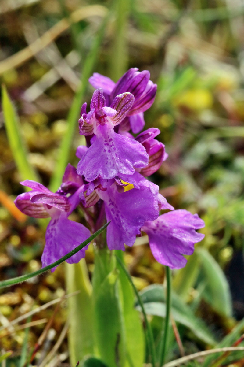 RNA_2017_05_03_1889p_Bildgr��e �ndern