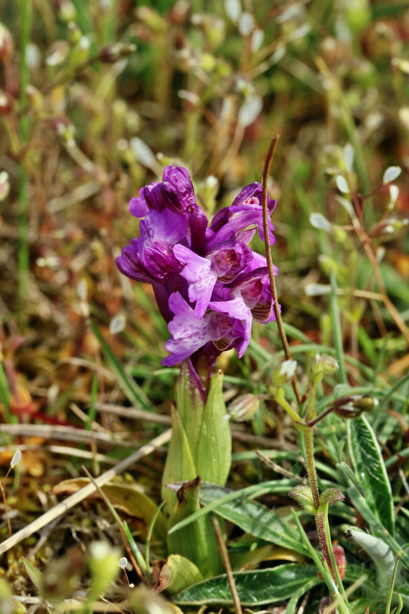 RNA_2017_05_03_1896p_Bildgr��e �ndern