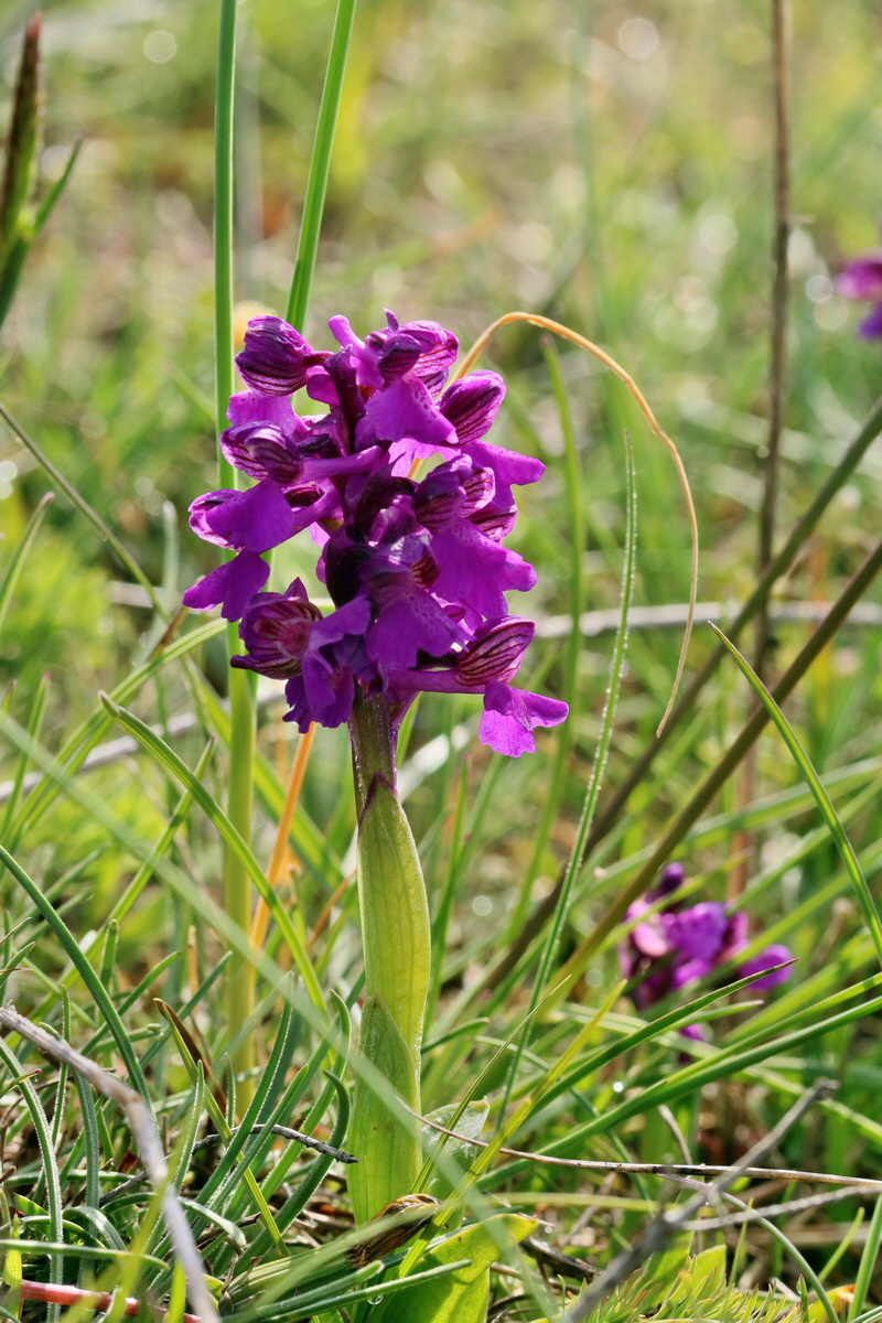 RNA_2017_05_03_1912p_Bildgr��e �ndern