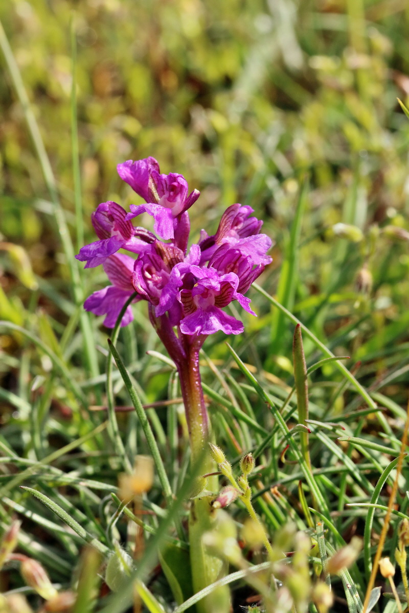 RNA_2017_05_03_1918p_Bildgr��e �ndern