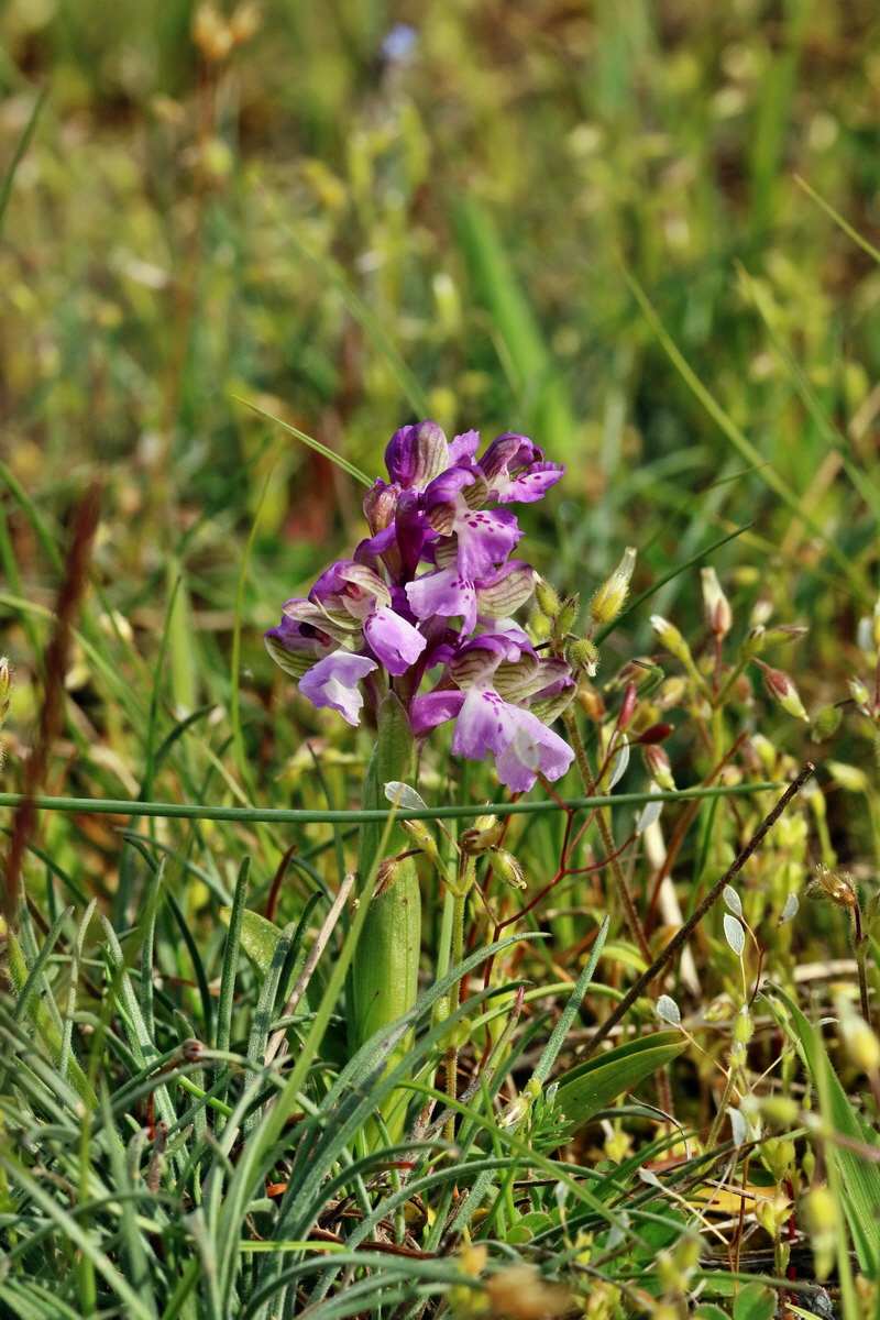 RNA_2017_05_03_1919p_Bildgr��e �ndern