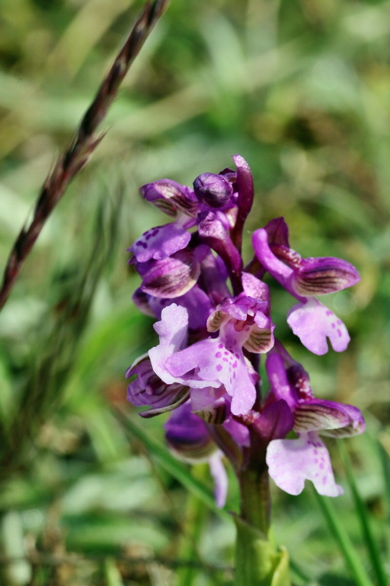 RNA_2017_05_03_1923p_Bildgr��e �ndern