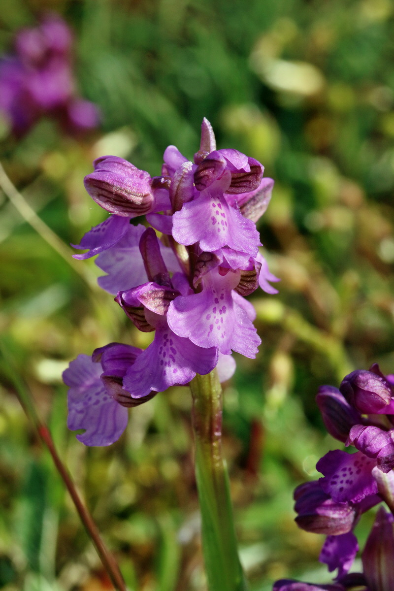 RNA_2017_05_03_1936p_Bildgr��e �ndern