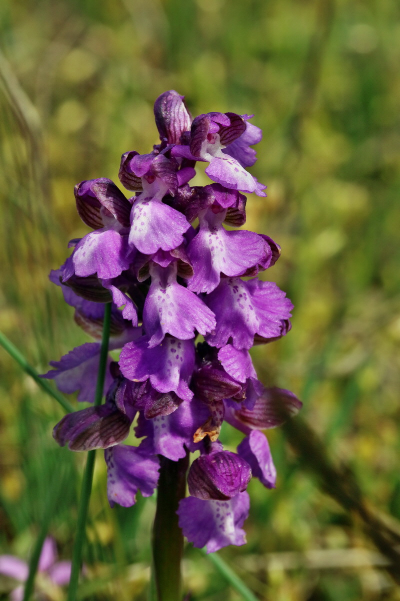 RNA_2017_05_03_2413p_Bildgr��e �ndern