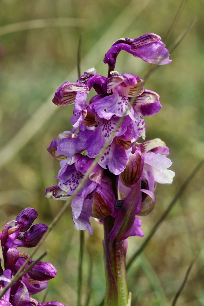 RNA_2017_05_03_2458p_Bildgr��e �ndern