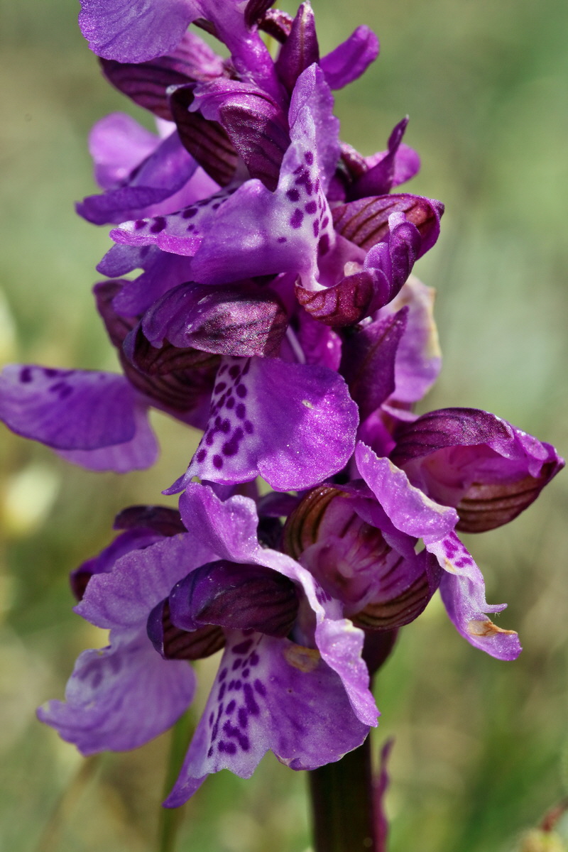 RNA_2017_05_03_2467p_Bildgr��e �ndern