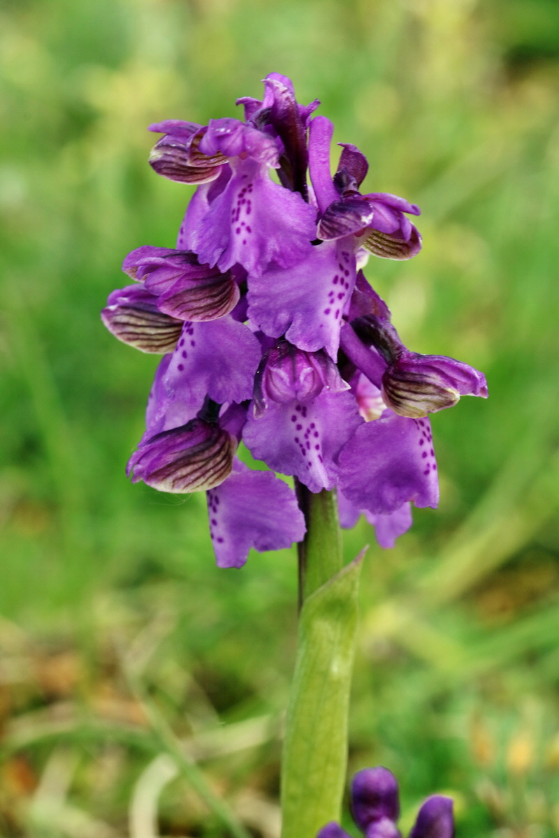 RNA_2017_05_03_2541p_Bildgr��e �ndern