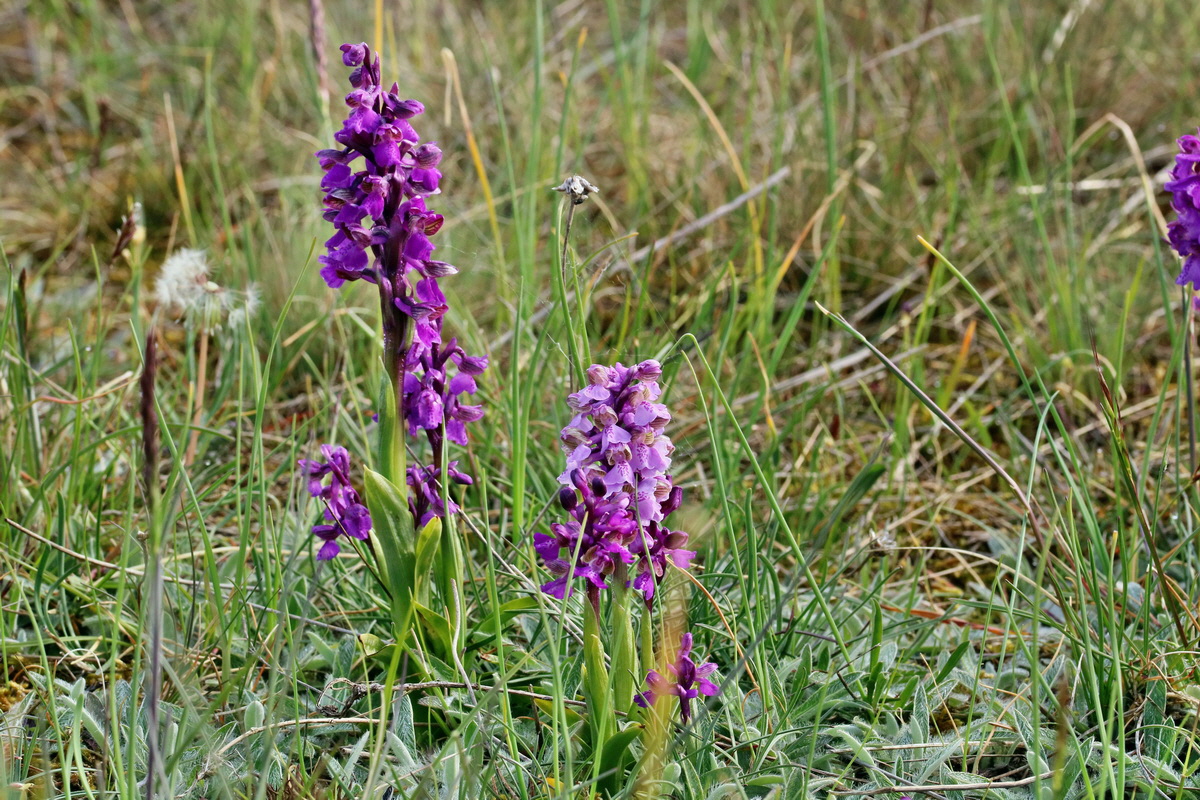 RNA_2017_05_03_1583p_Bildgr��e �ndern