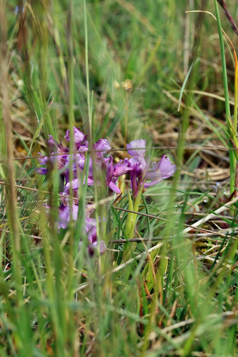 RNA_2017_05_03_1632p_Bildgr��e �ndern