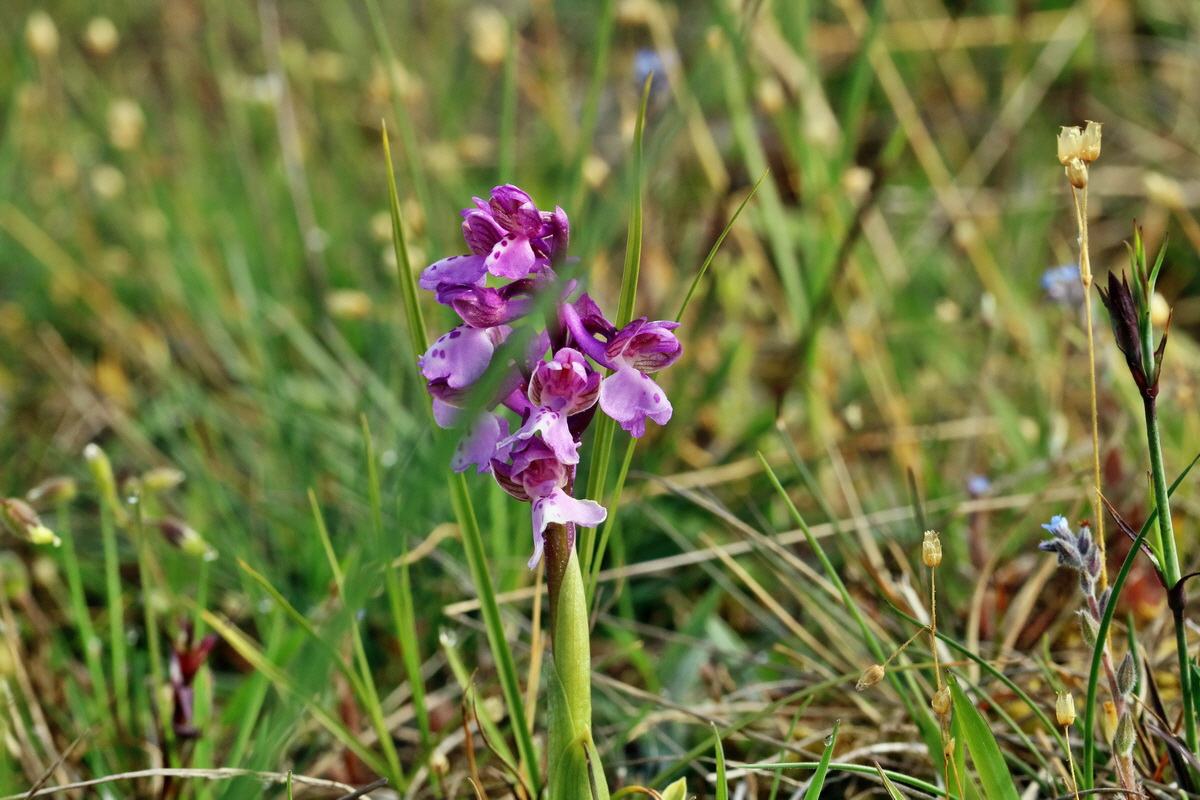 RNA_2017_05_03_1653p_Bildgr��e �ndern