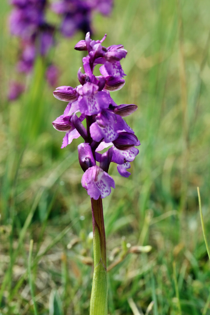 RNA_2017_05_03_1686p_Bildgr��e �ndern