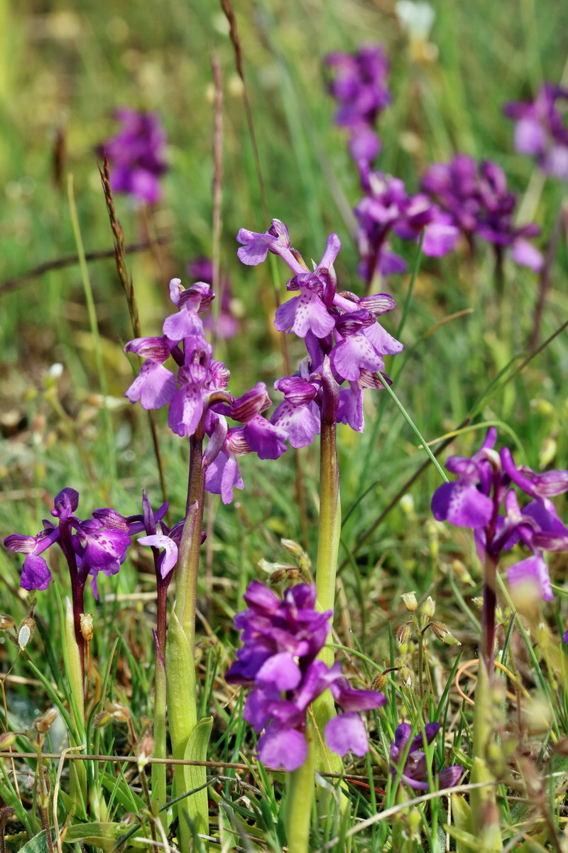 RNA_2017_05_03_1690p_Bildgr��e �ndern