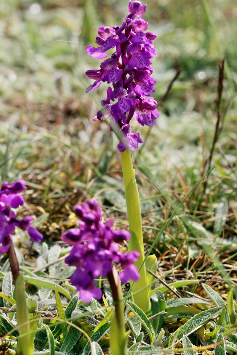 RNA_2017_05_03_1716p_Bildgr��e �ndern