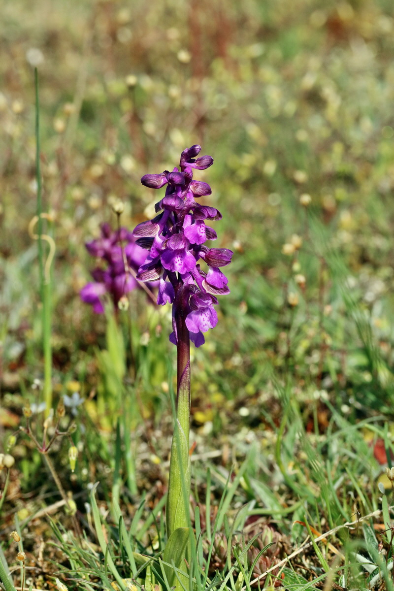 RNA_2017_05_03_1726p_Bildgr��e �ndern