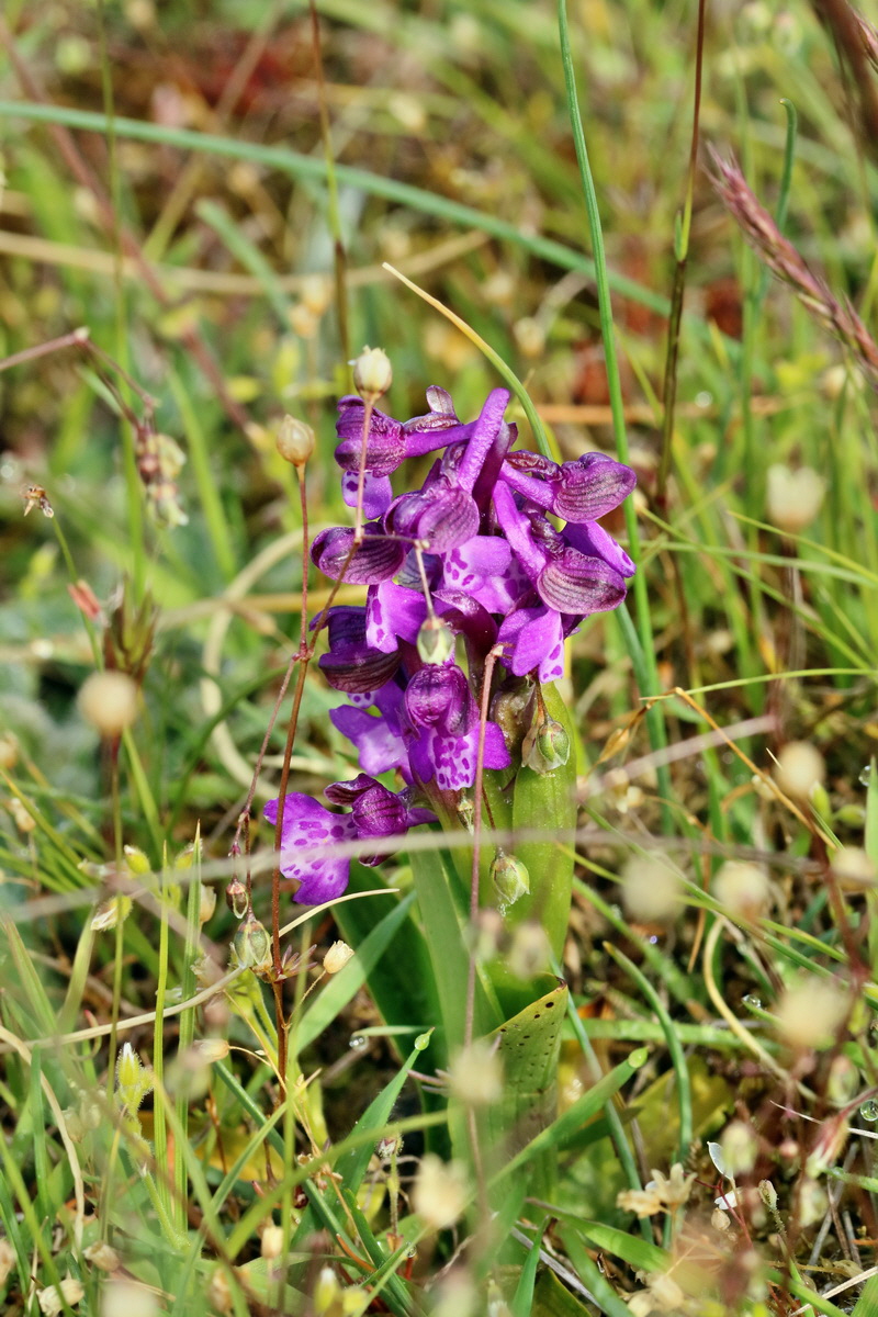 RNA_2017_05_03_1751p_Bildgr��e �ndern