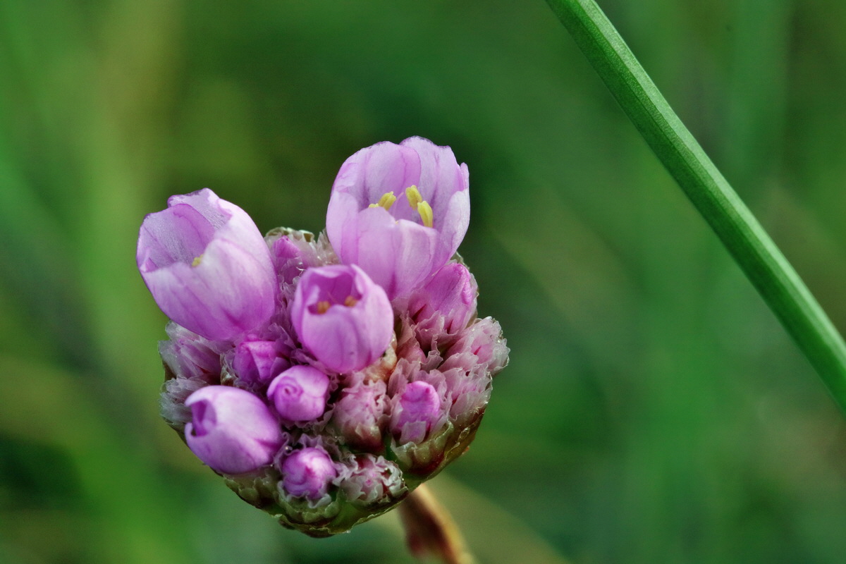 RNA_2017_05_03_1838p_Bildgr��e �ndern