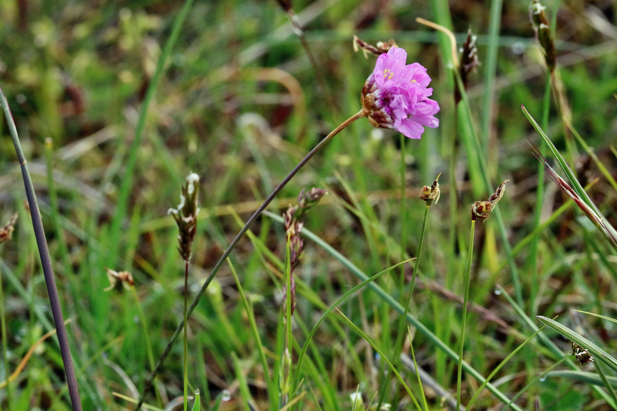 RNA_2017_05_03_1839p_Bildgr��e �ndern