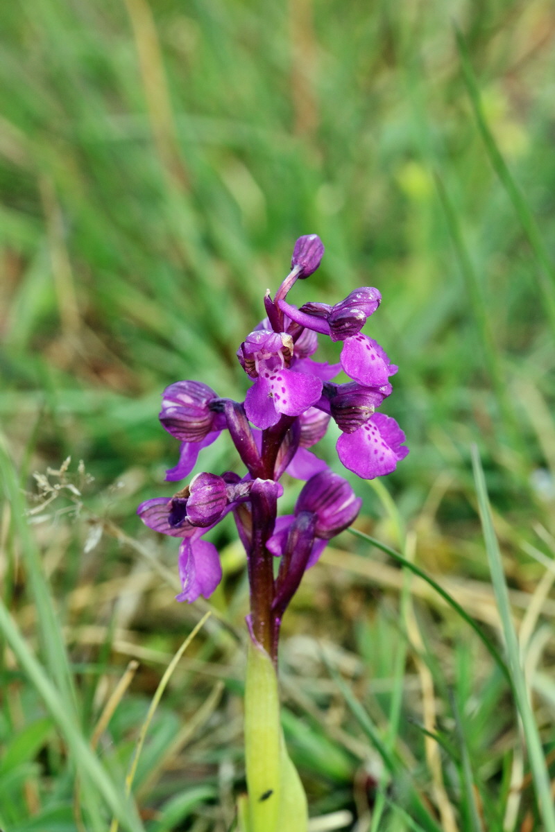 RNA_2017_05_03_1866p_Bildgr��e �ndern