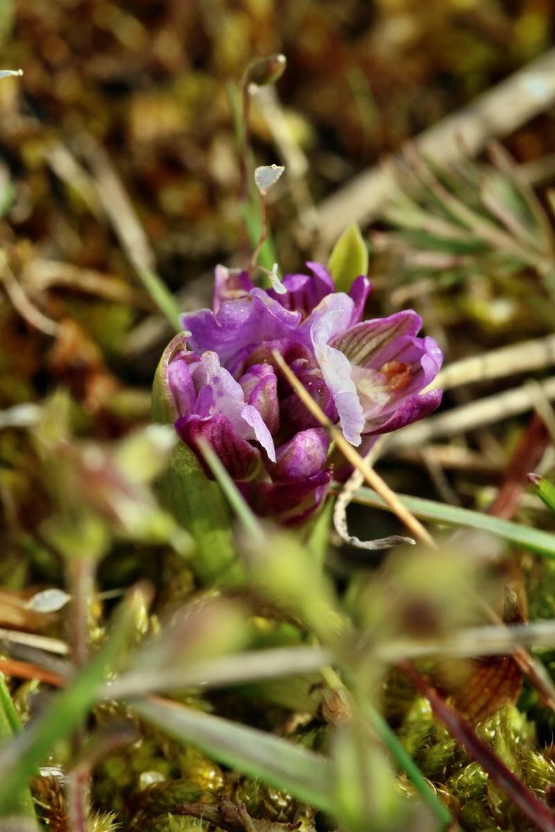 RNA_2017_05_03_1897p_Bildgr��e �ndern