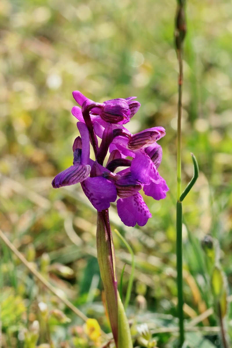 RNA_2017_05_03_1933p_Bildgr��e �ndern