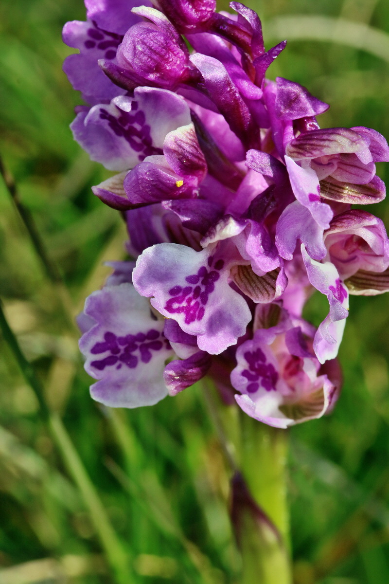 RNA_2017_05_03_1957p_Bildgr��e �ndern