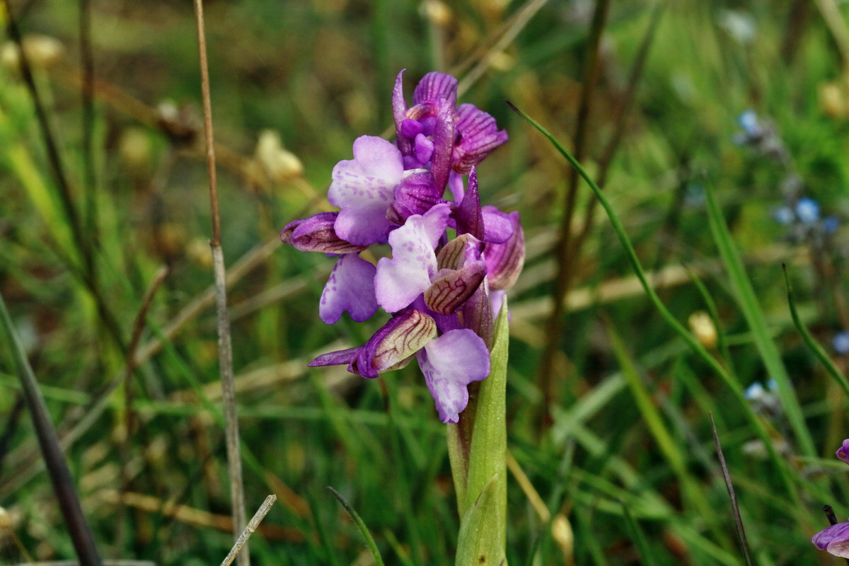 RNA_2017_05_03_1976p_Bildgr��e �ndern