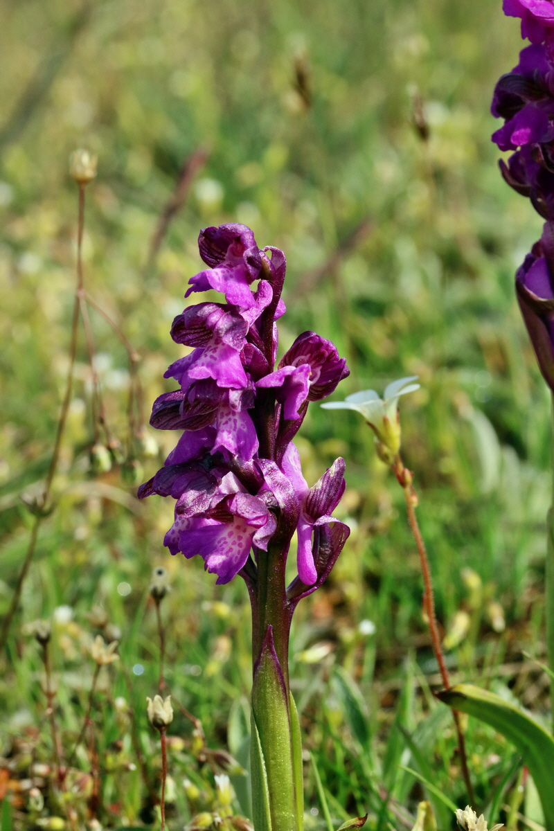 RNA_2017_05_03_1984p_Bildgr��e �ndern