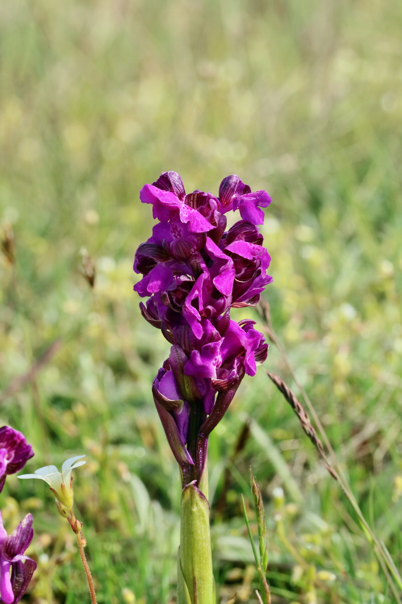 RNA_2017_05_03_1986p_Bildgr��e �ndern