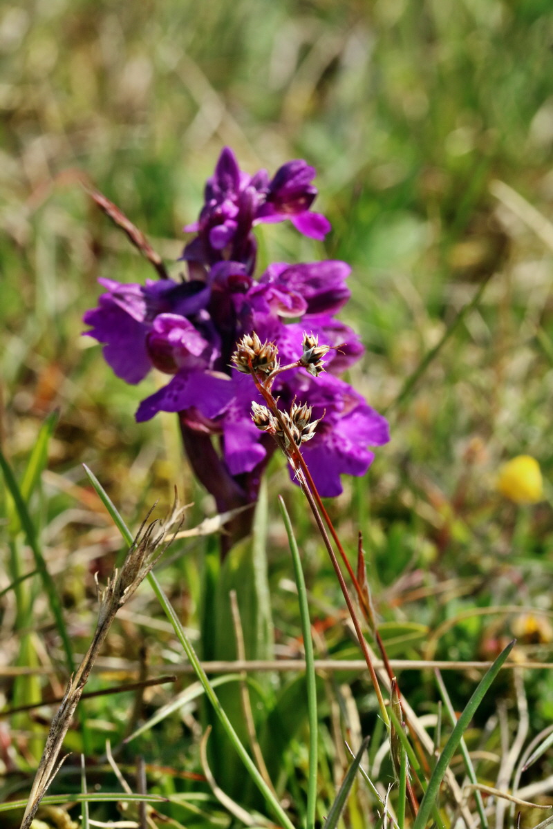 RNA_2017_05_03_2116p_Bildgr��e �ndern