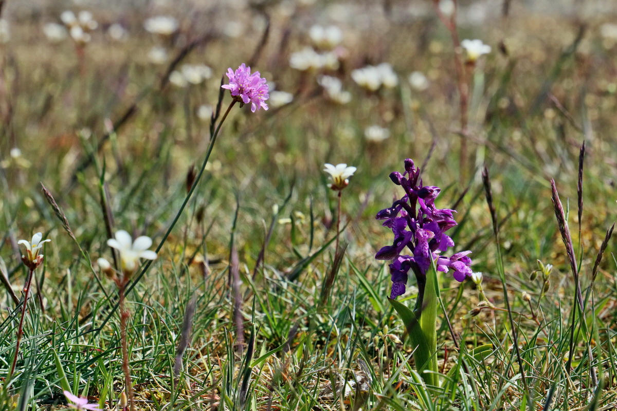 RNA_2017_05_03_2155p_Bildgr��e �ndern