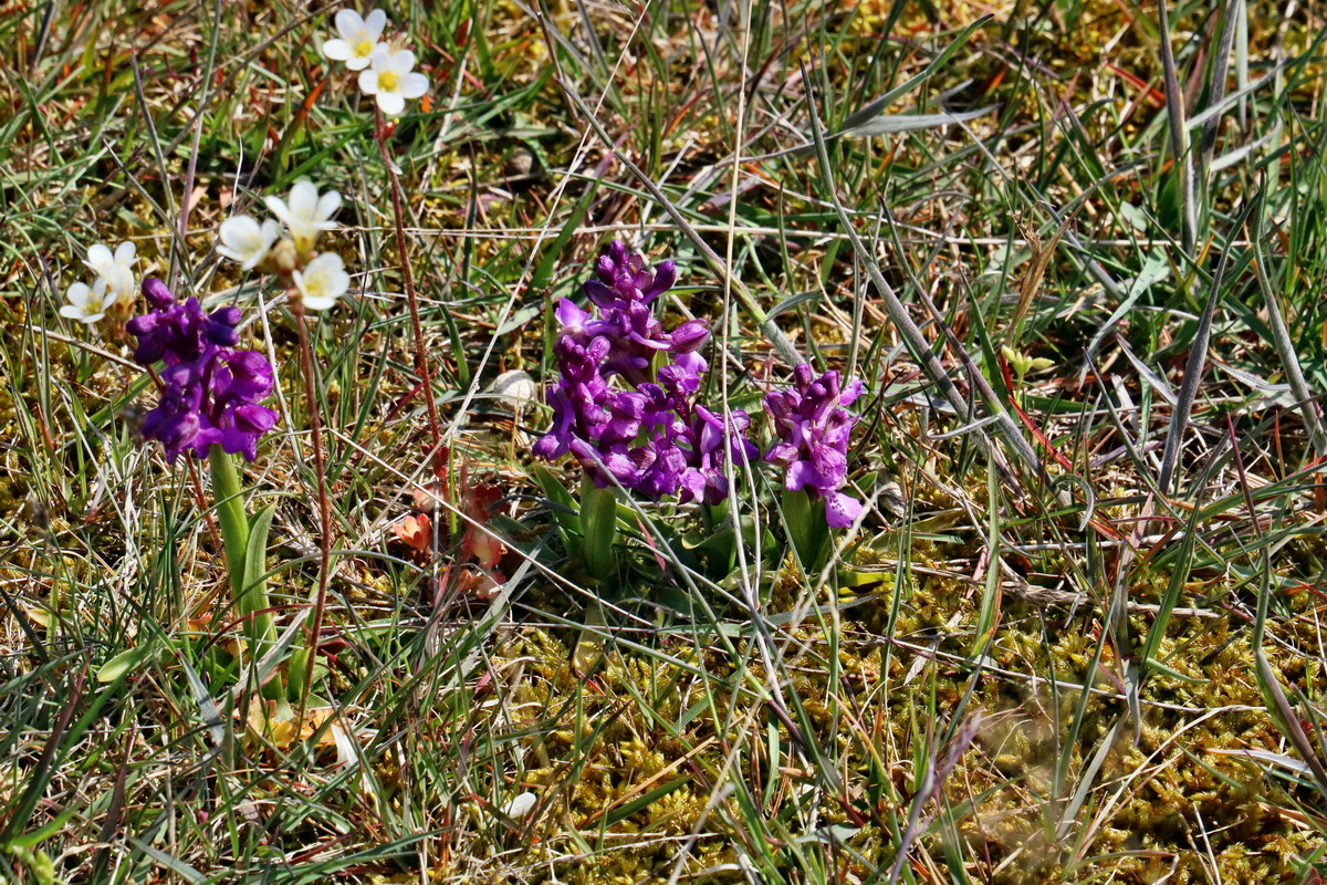 RNA_2017_05_03_2161p_Bildgr��e �ndern