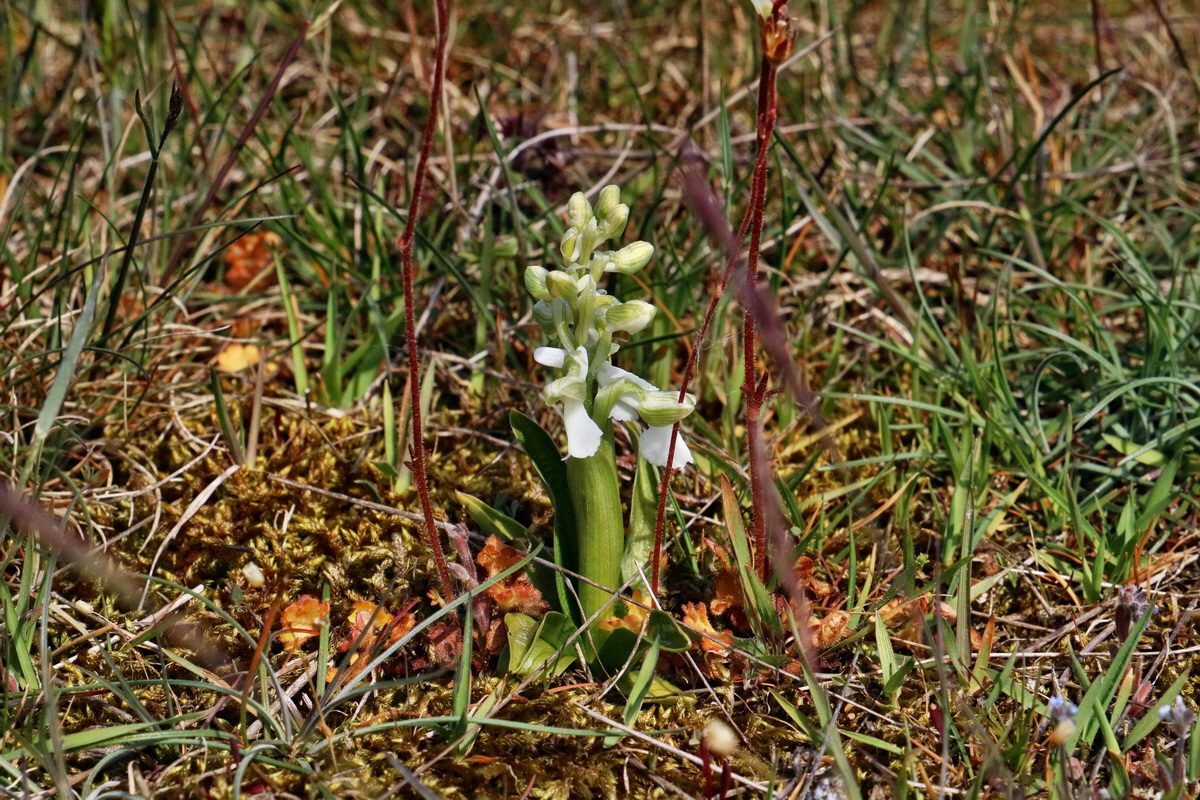 RNA_2017_05_03_2216p_Bildgr��e �ndern