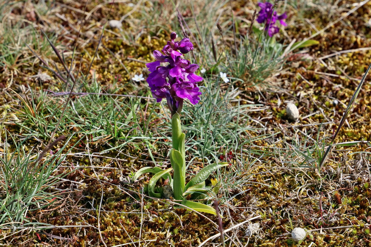 RNA_2017_05_03_2260p_Bildgr��e �ndern