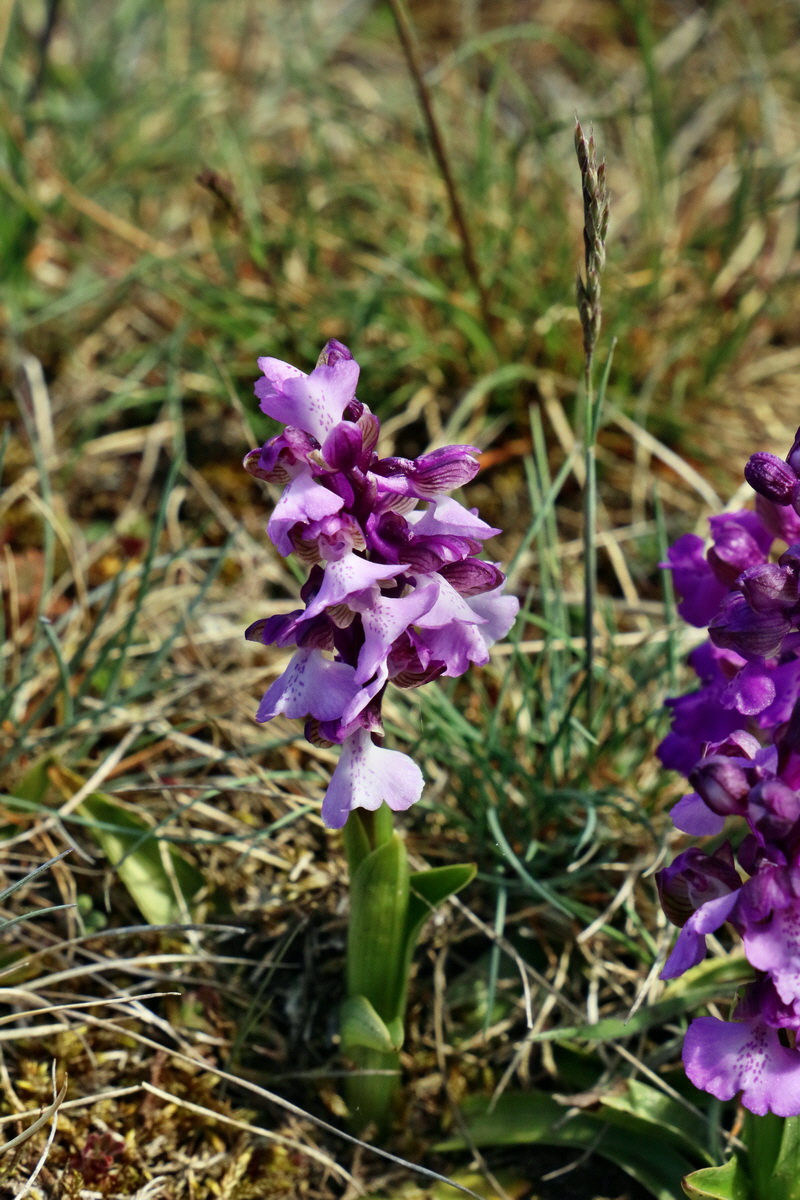 RNA_2017_05_03_2261p_Bildgr��e �ndern