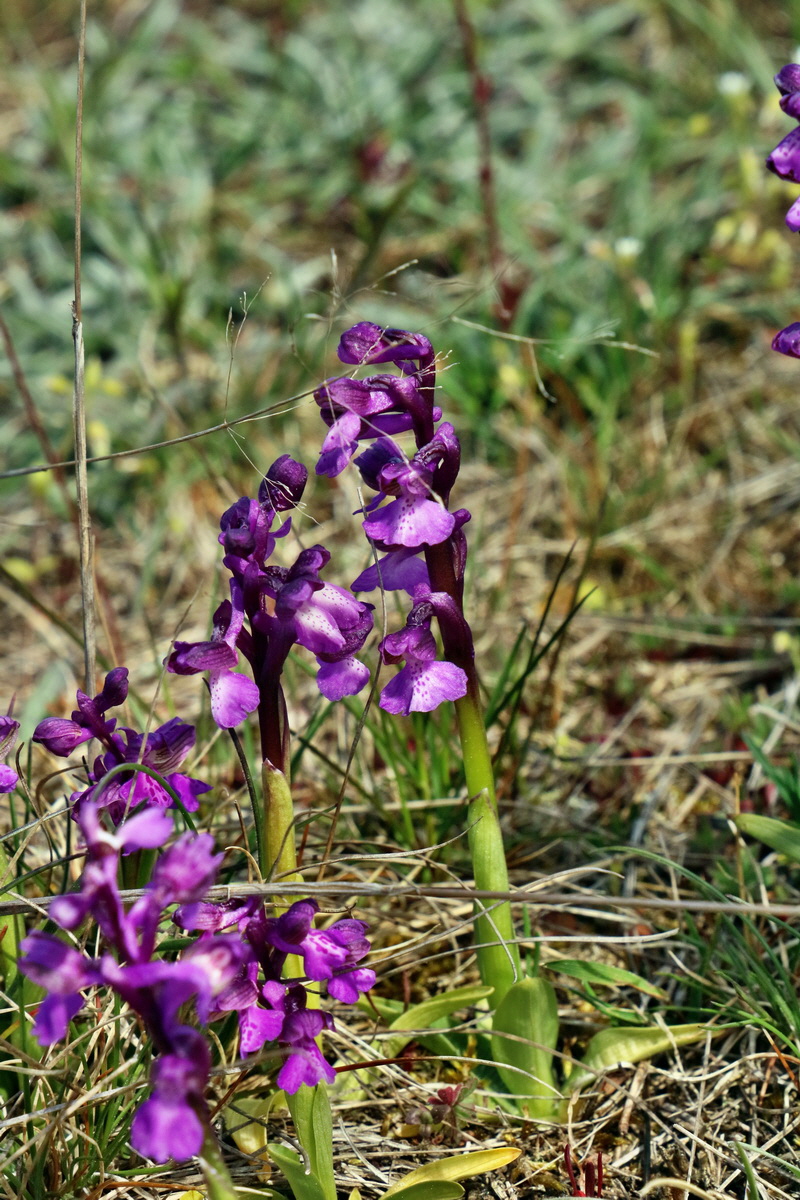 RNA_2017_05_03_2263p_Bildgr��e �ndern