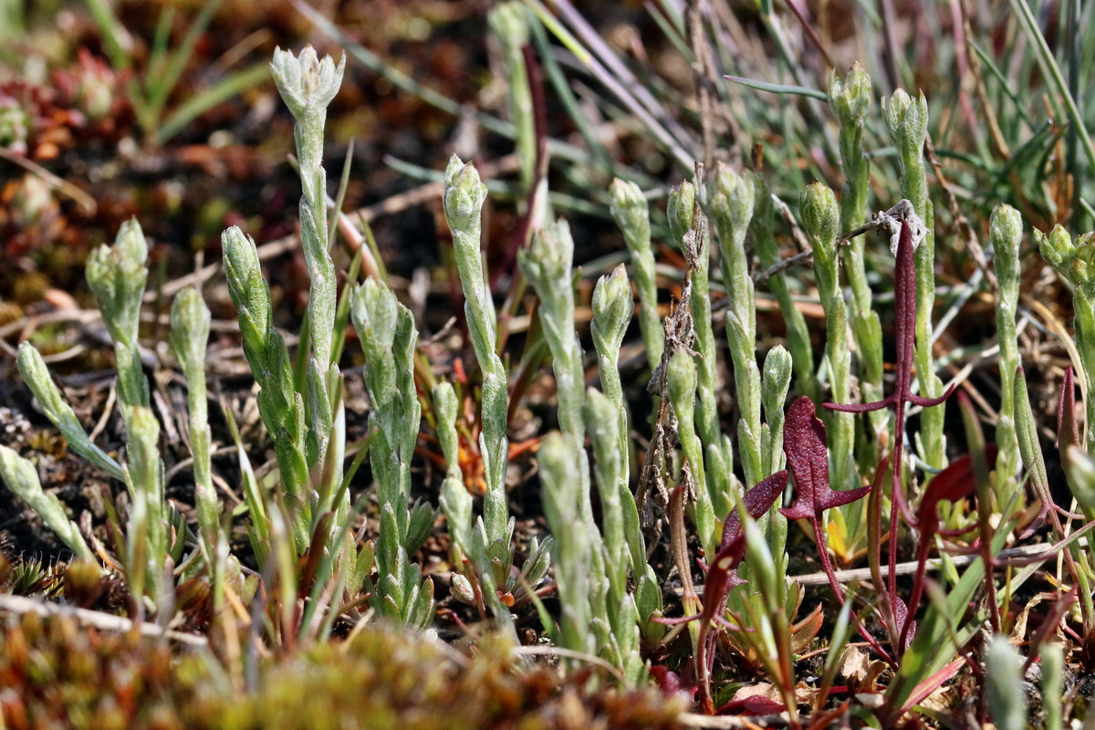 RNA_2017_05_03_2058p_Bildgr��e �ndern