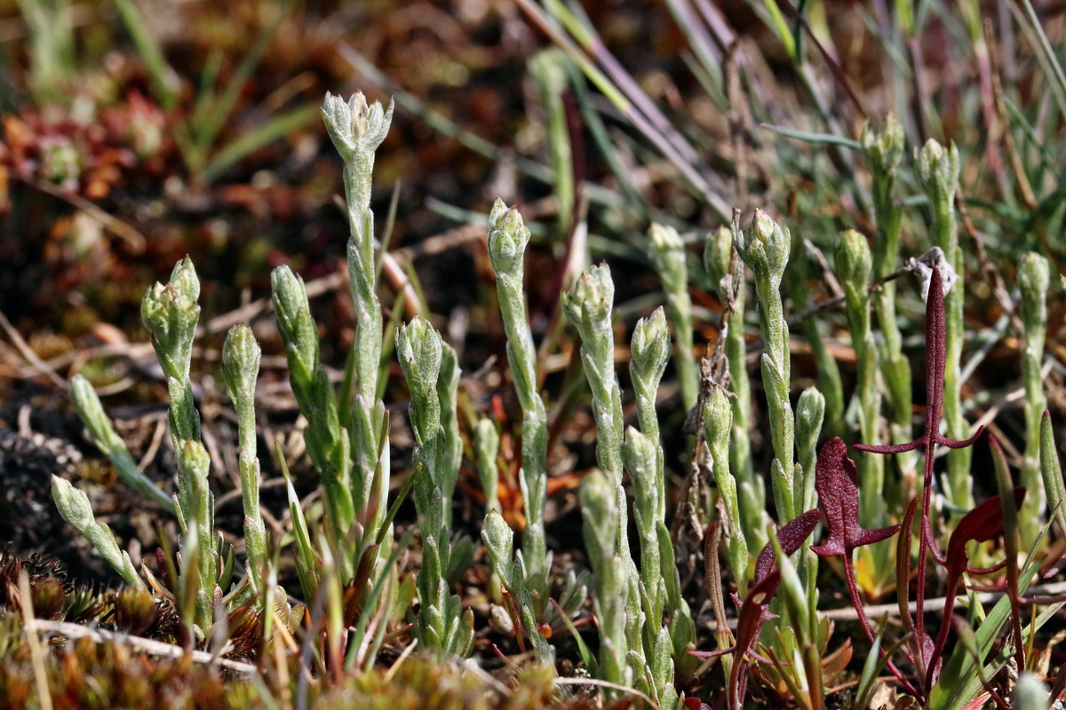 RNA_2017_05_03_2061p_Bildgr��e �ndern