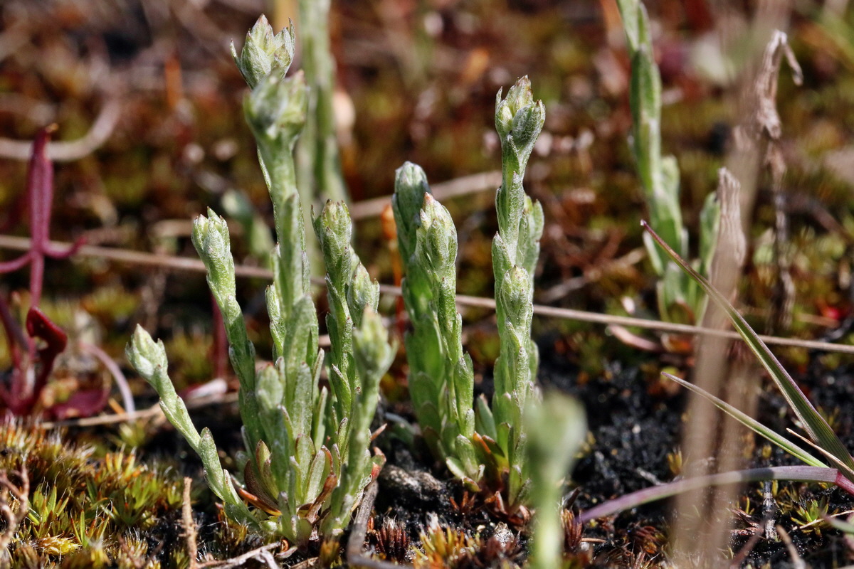 RNA_2017_05_03_2064p_Bildgr��e �ndern