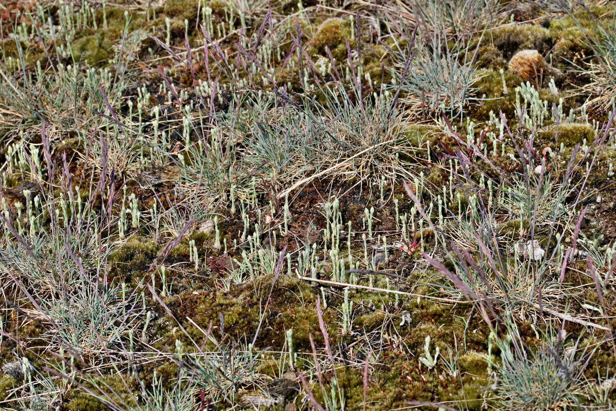 RNA_2017_05_03_2066p_Bildgr��e �ndern